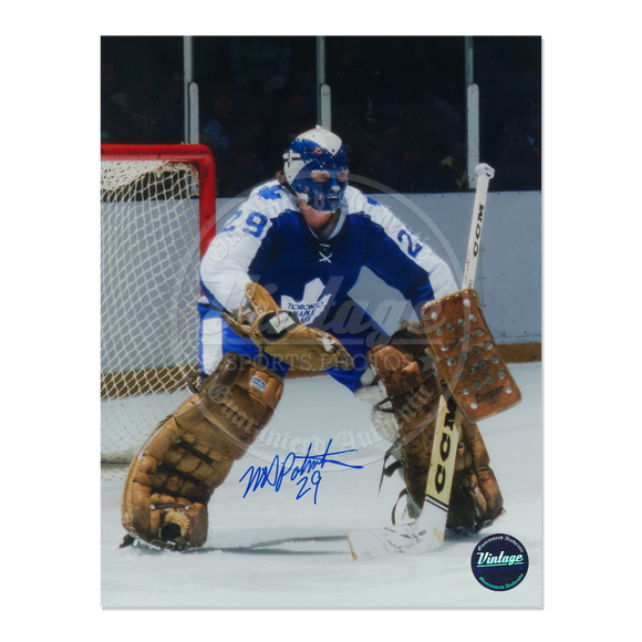 Mike Palmateer Toronto Maple Leafs 16x20 Autographed Photo